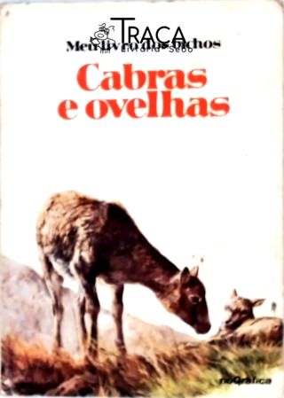 Cabras e Ovelhas