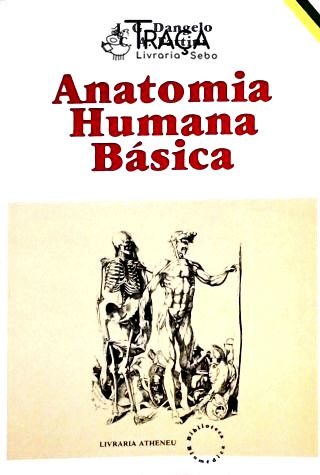 Anatomia Humana Básica