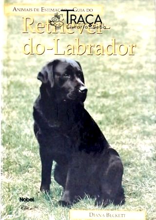 Animais de Estimação - Guia do Retriever-do-labrador