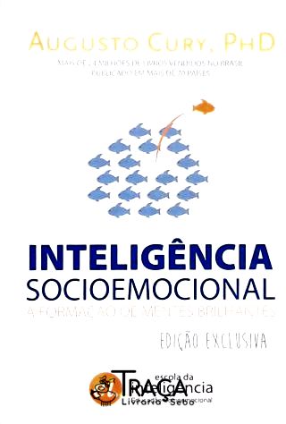 Inteligência Socioemocional