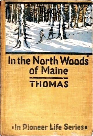 In The North Woods Of Maine