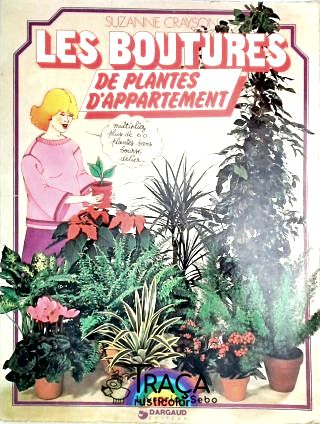 Les Boutures de Plantes Dappartement
