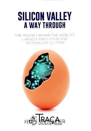 Silicon Valley - a Way Through