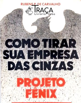 Como Tirar Sua Empresa das Cinzas