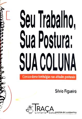 Seu Trabalho Sua Postura Sua Coluna
