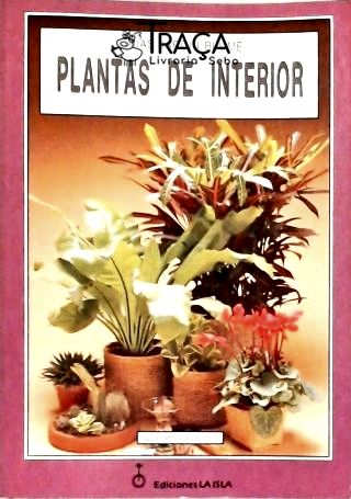 Plantas de Interior