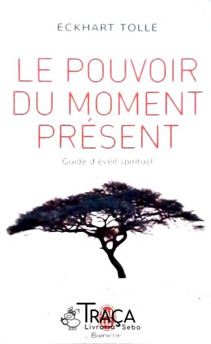 Le Povouir Du Moment Présent