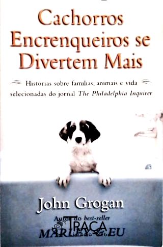 Cachorros Encrenqueiros Se Divertem Mais