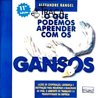 O Que Podemos Aprender com os Gansos