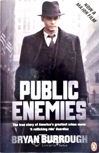 Public Enemies