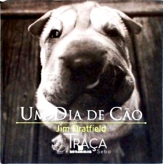 Um Dia de Cão