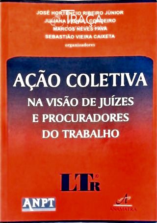 Ação Coletiva: Na Visão de Juízes e Procuradores do Trabalho