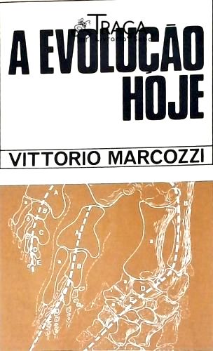 A Evolução Hoje (criação Evolutiva)