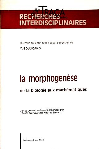 La Morphogenèse