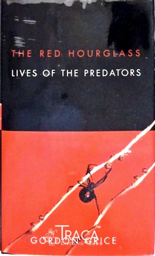 The Red Hourglass