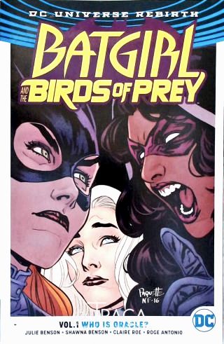 Batgirl And The Birds Of Prey - Vol. 1