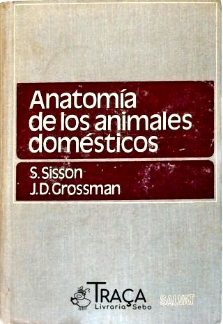 Anatomía de Los Animales Domésticos