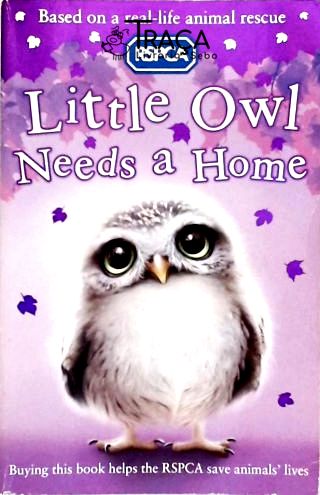 Little Owl Needs a Home