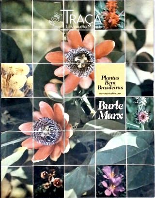 Plantas Bem Brasileiras