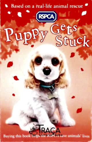 Puppy Gets Stuck