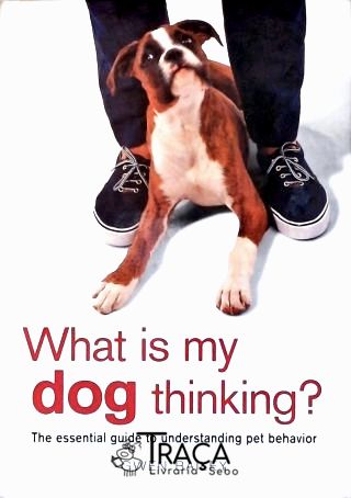 What is My Dog Thinking?