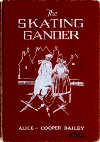 Skating Gander