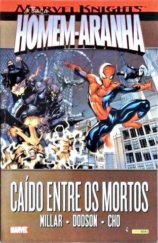 Marvel Knights: Homem-aranha