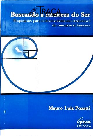 Buscando a Inteireza do Ser