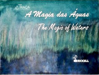 A Magia Das Águas - The Magic Of Waters