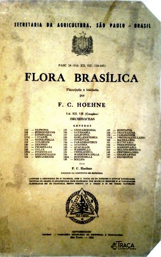 Flora Brasílica - Orchidaceas