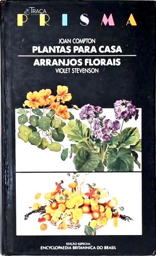 Plantas para Casa - Arranjos Florais