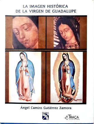 La Imagen Histórica de La Virgen de Guadalupe