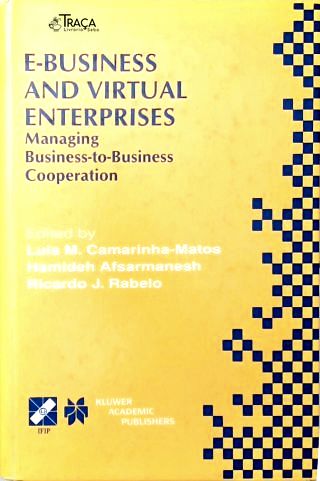 E-business And Virtual Enterprises