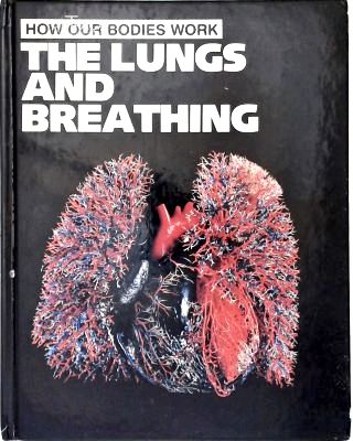 The Lungs And Breathing