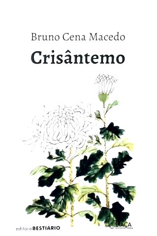 Crisântemo