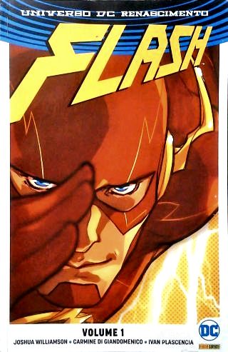 The Flash - Vol. 1