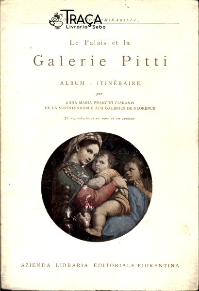 Le Palais Et La Galerie Pitti