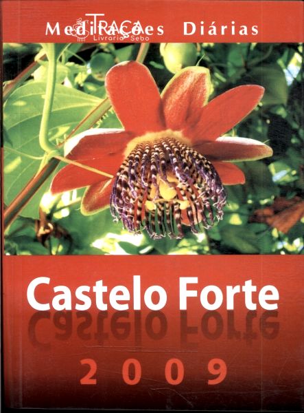Castelo Forte 2009