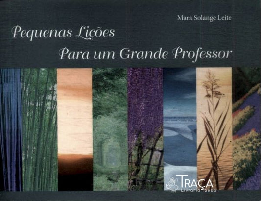 Pequenas Lições para Um Grande Professor