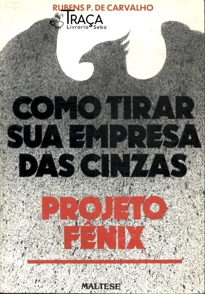 Como Tirar Sua Empresa das Cinzas