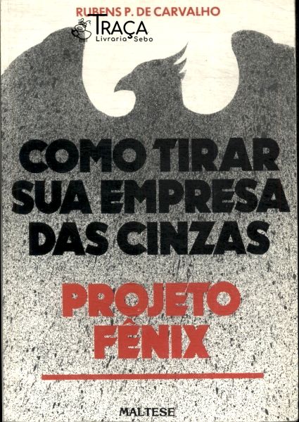 Como Tirar Sua Empresa das Cinzas