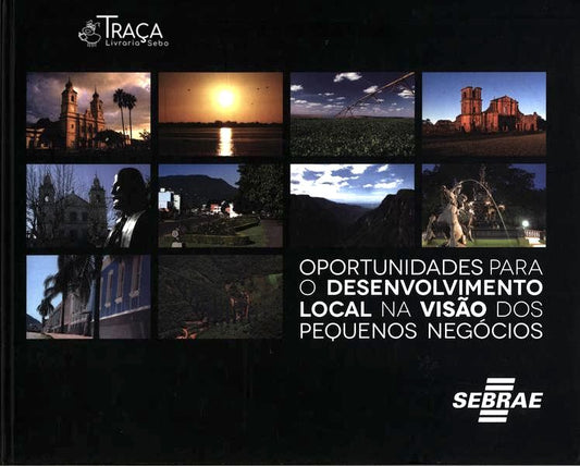 Oportunidades para o Desenvolvimento Local Na Visão dos Pequenos Negócios