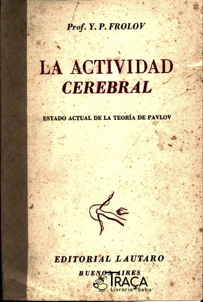 La Actividad Cerebral