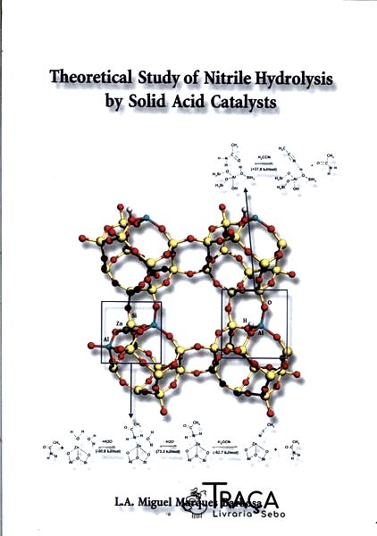 Theoretical Study Of Nitrile Hydrolysis By Solid Scid Catalysts