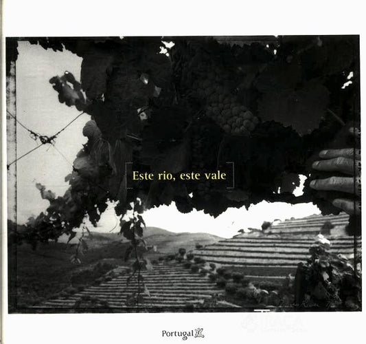 Este Rio, Este Vale