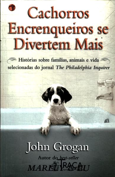 Cachorros Encrenqueiros Se Divertem Mais