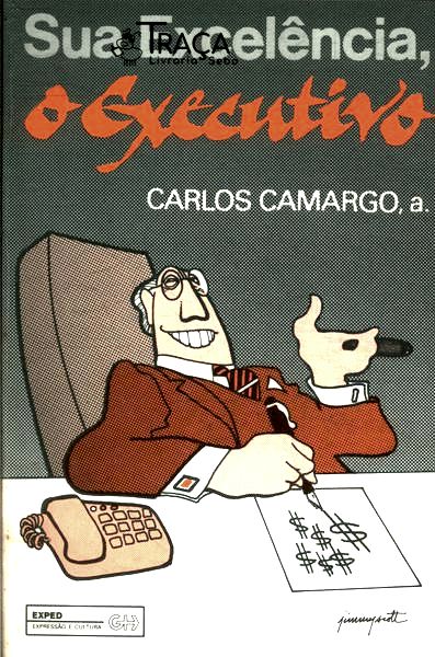 Sua Excelência, o Executivo