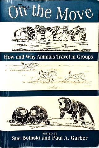 On the Move: How and Why Animals Travel in Groups
