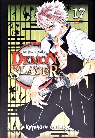Demon Slayer: Kimetsu No Yaiba - Vol. 17