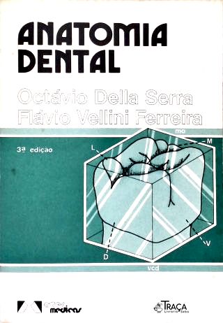 Anatomia Dental